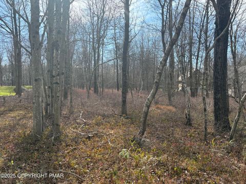 Vacant Land For Sale - LOT 18 Boulder Road<br/> Blakeslee, PA 18610