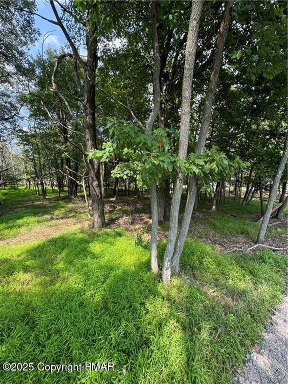 Lakeview Drive, Albrightsville, Pennsylvania image 3