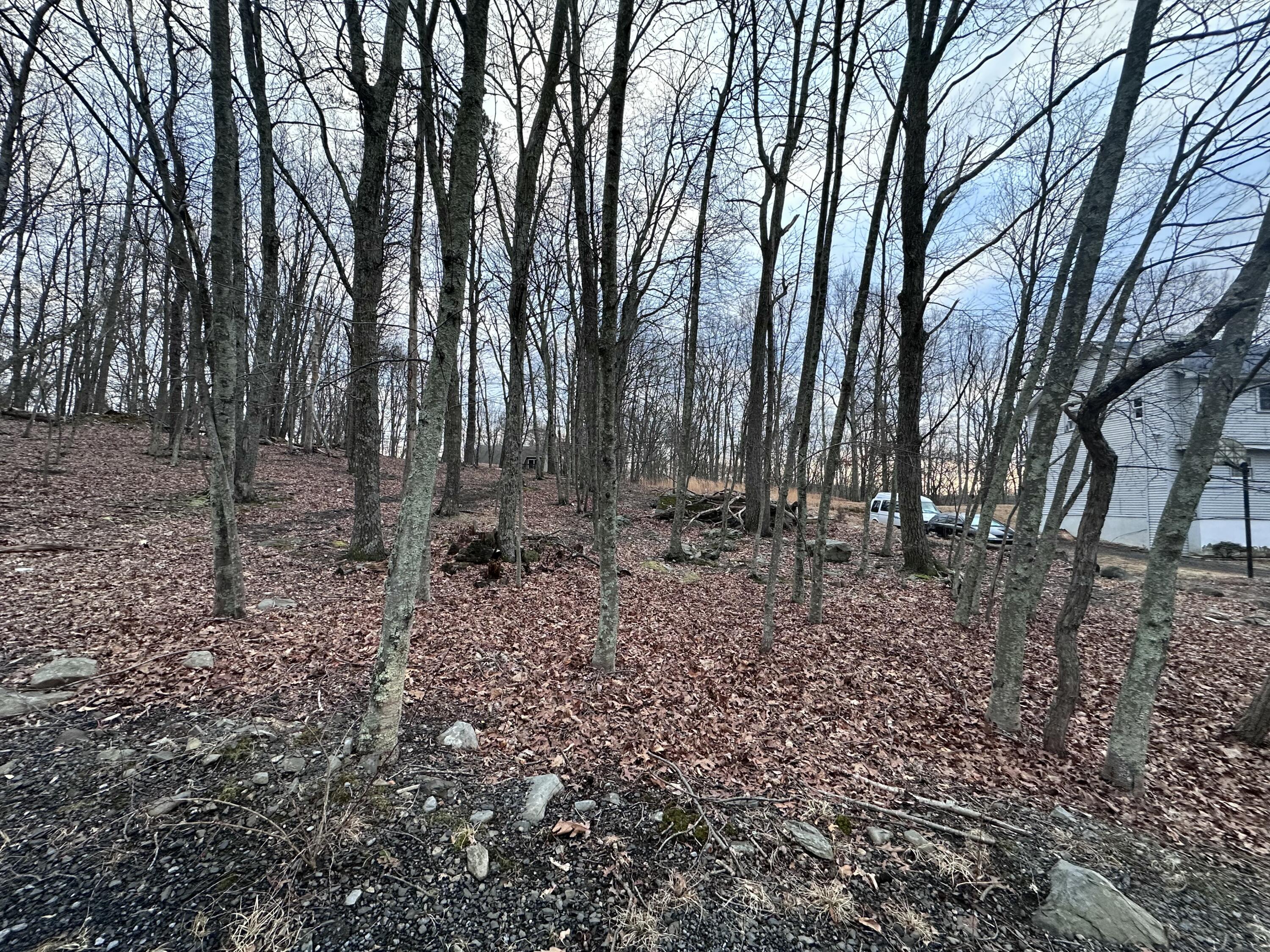 Lot 408 Mohican Road, East Stroudsburg, Pennsylvania image 1