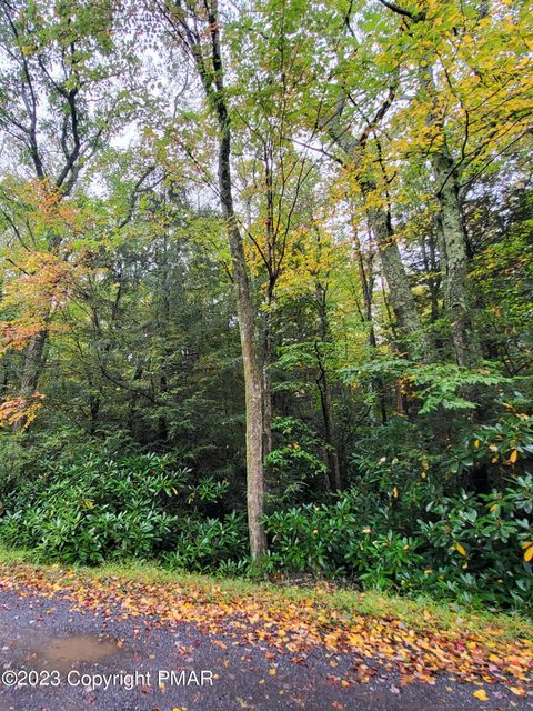 Vacant Land For Sale - Sunrise Lane<br/> Albrightsville, PA 18210