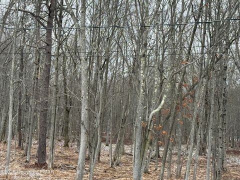 433 Holiday Drive Pocono Summit PA 18346