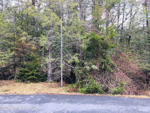 Vacant Land For Sale - Sir Jeoffrey Ct 199<br/> Monroe County, Pocono Lake, PA 18347