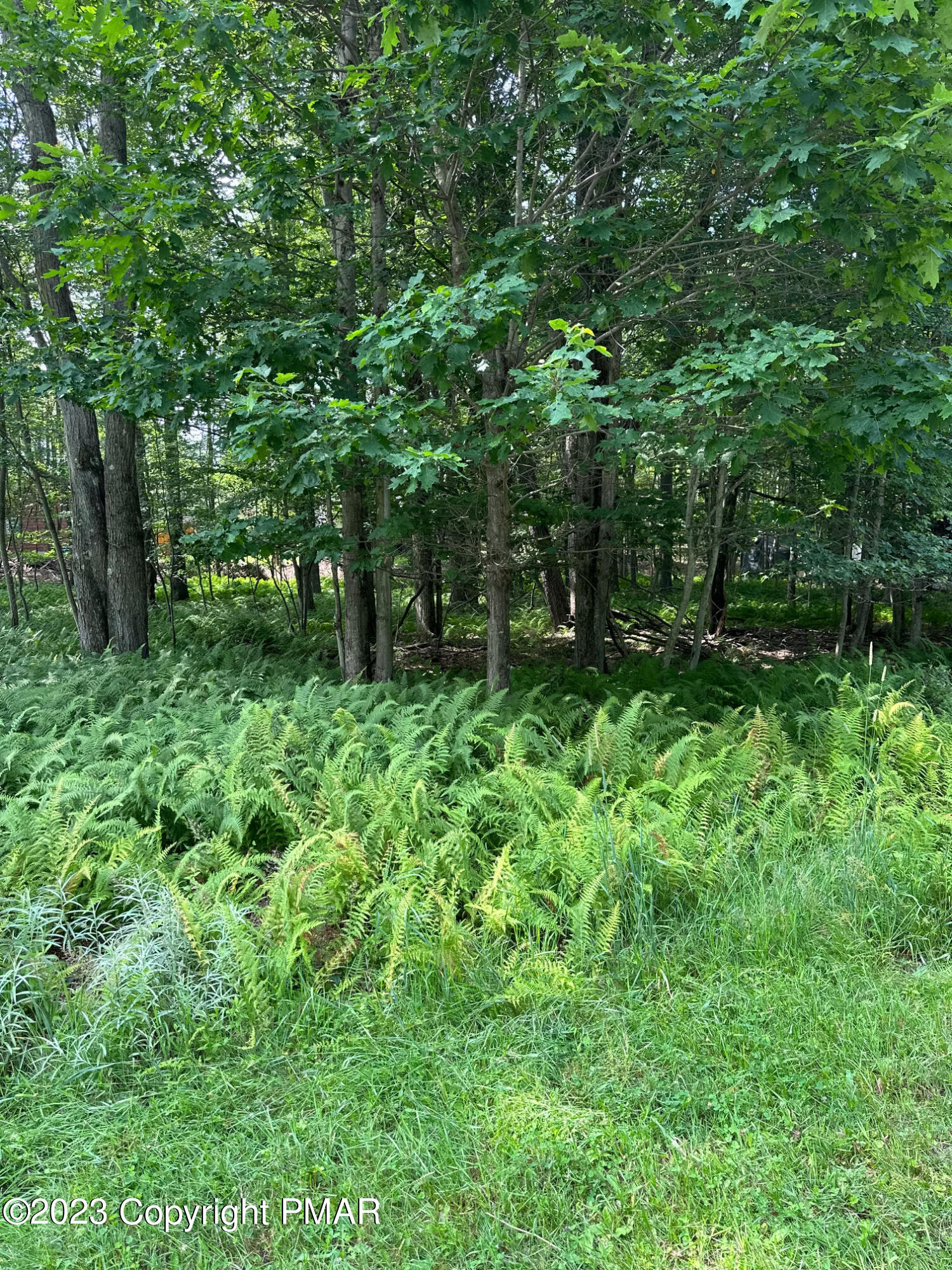 4 Canoe Trail, Pocono Lake, Pennsylvania image 2