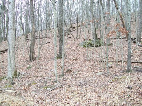 Vacant Land For Sale - 2.65 ACRES Decker Rd<br/> Bushkill, PA 18324