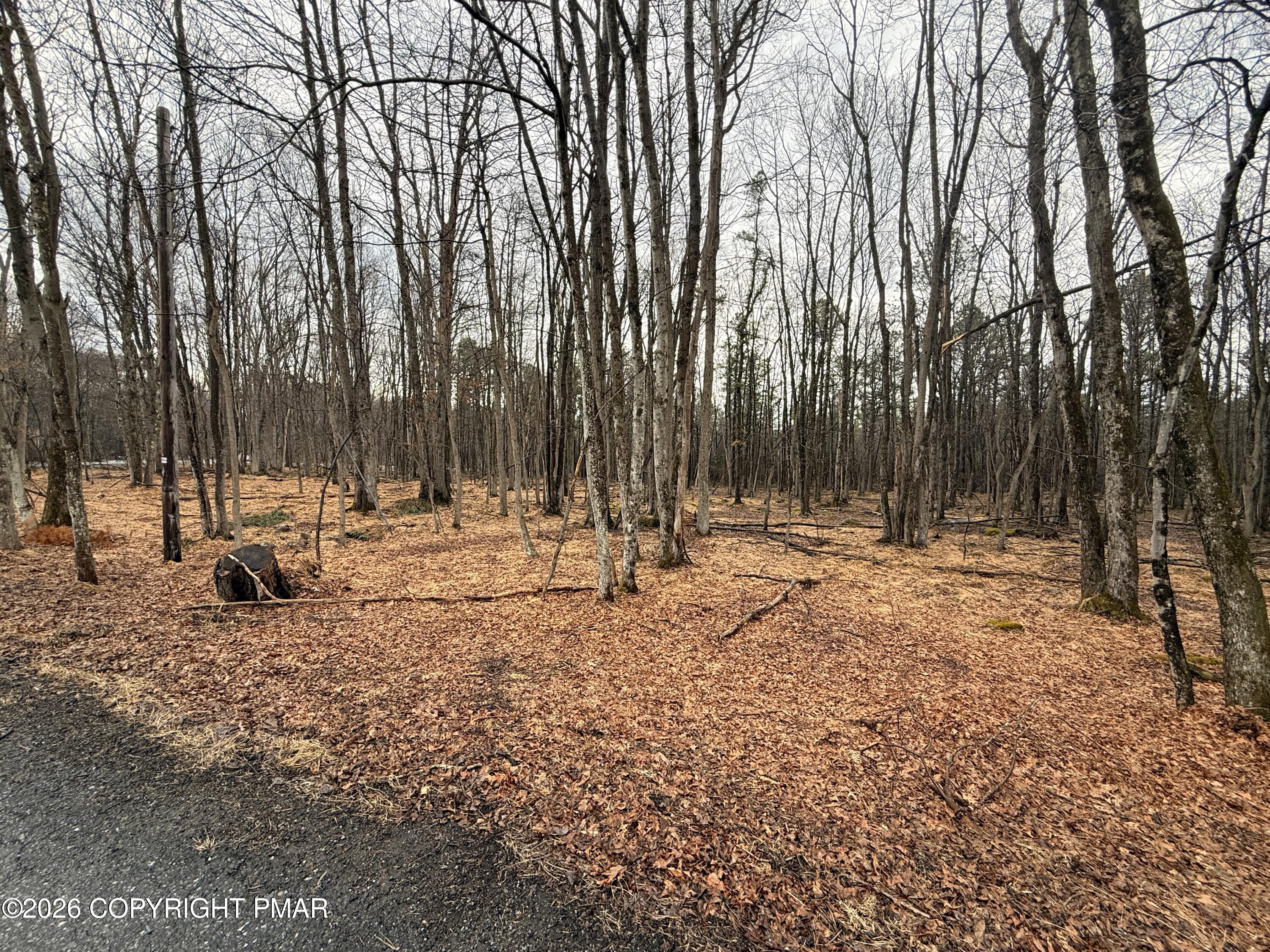 Masters Trail