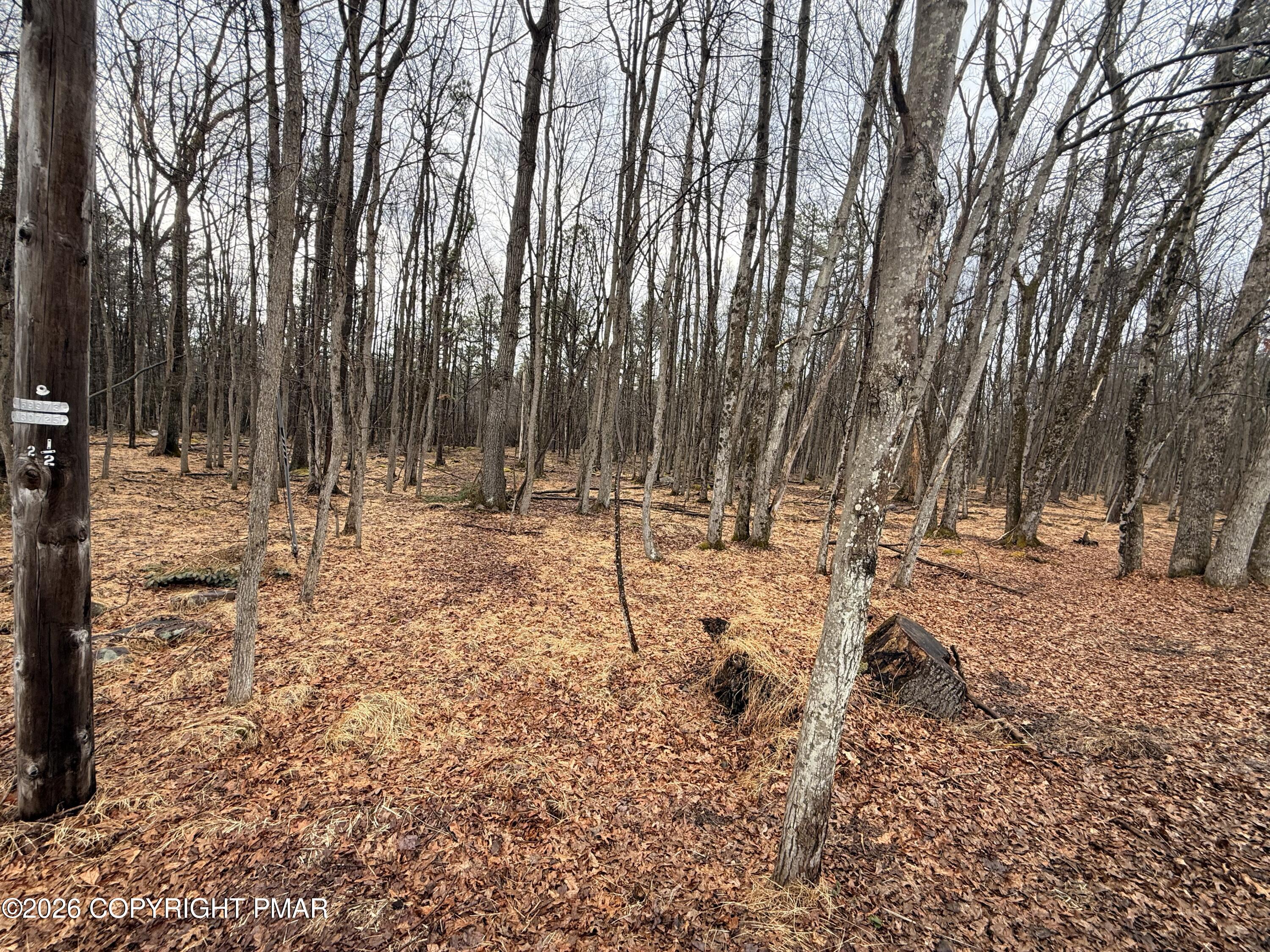 Masters Trail