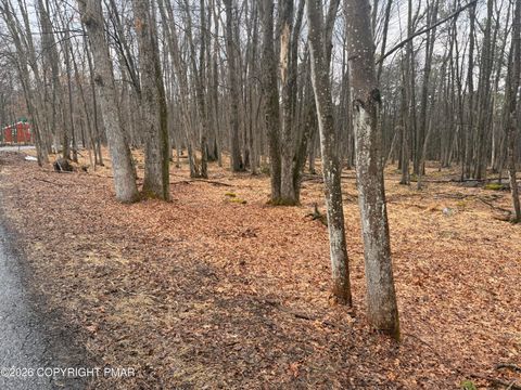 Vacant Land For Sale - Masters Trail<br/> Albrightsville, PA 18210
