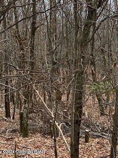 00 Pine Creek Road, Hawley, Pennsylvania image 3