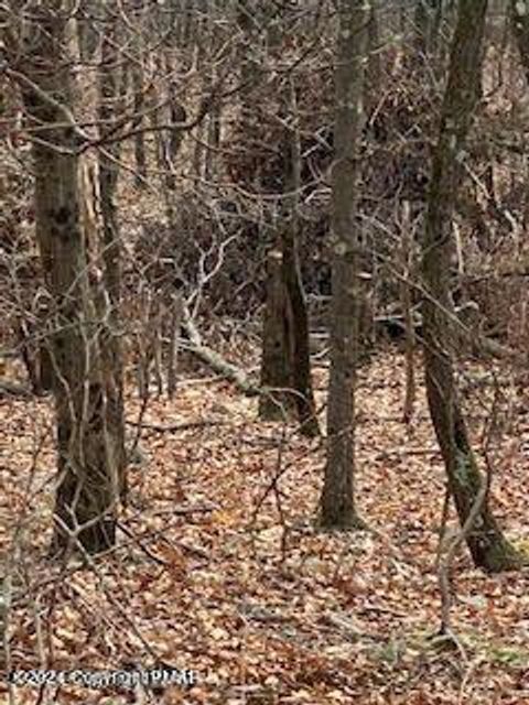 00 Pine Creek Road Hawley PA 18428