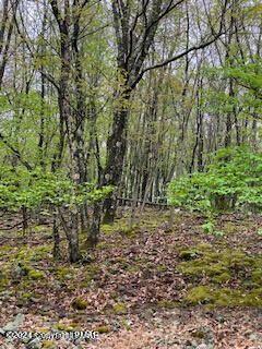 00 Pine Creek Road, Hawley, Pennsylvania image 2