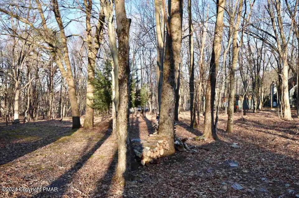 223 Towamensing Trail, Albrightsville, Pennsylvania image 24