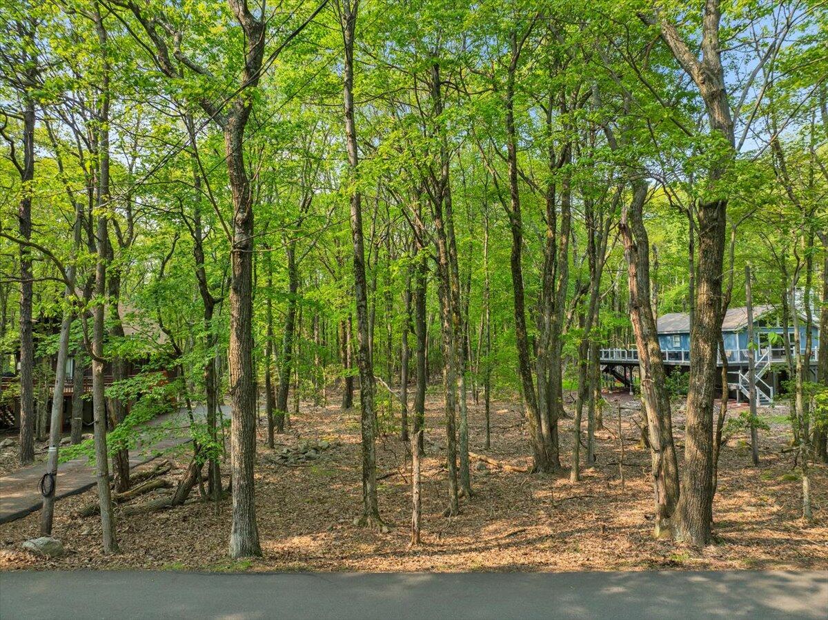 407 Wood Street, Lake Harmony, Pennsylvania image 6