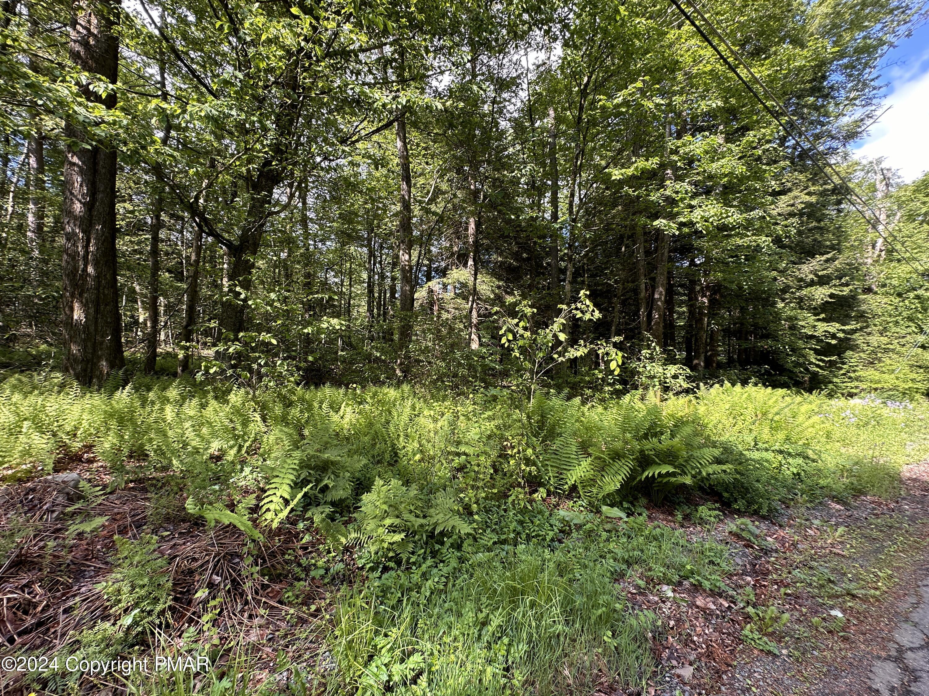 T 629 T 629, Blakeslee, Pennsylvania image 9