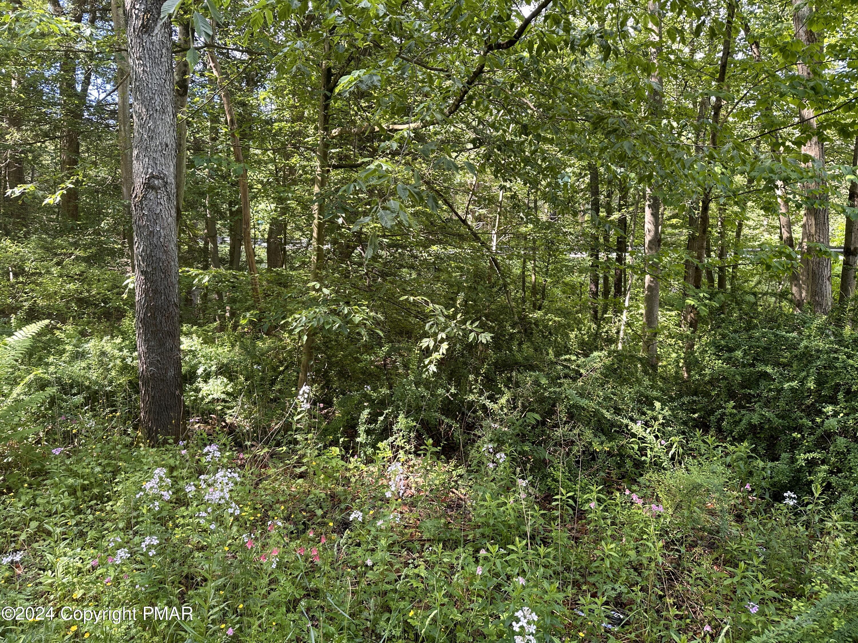 T 629 T 629, Blakeslee, Pennsylvania image 24