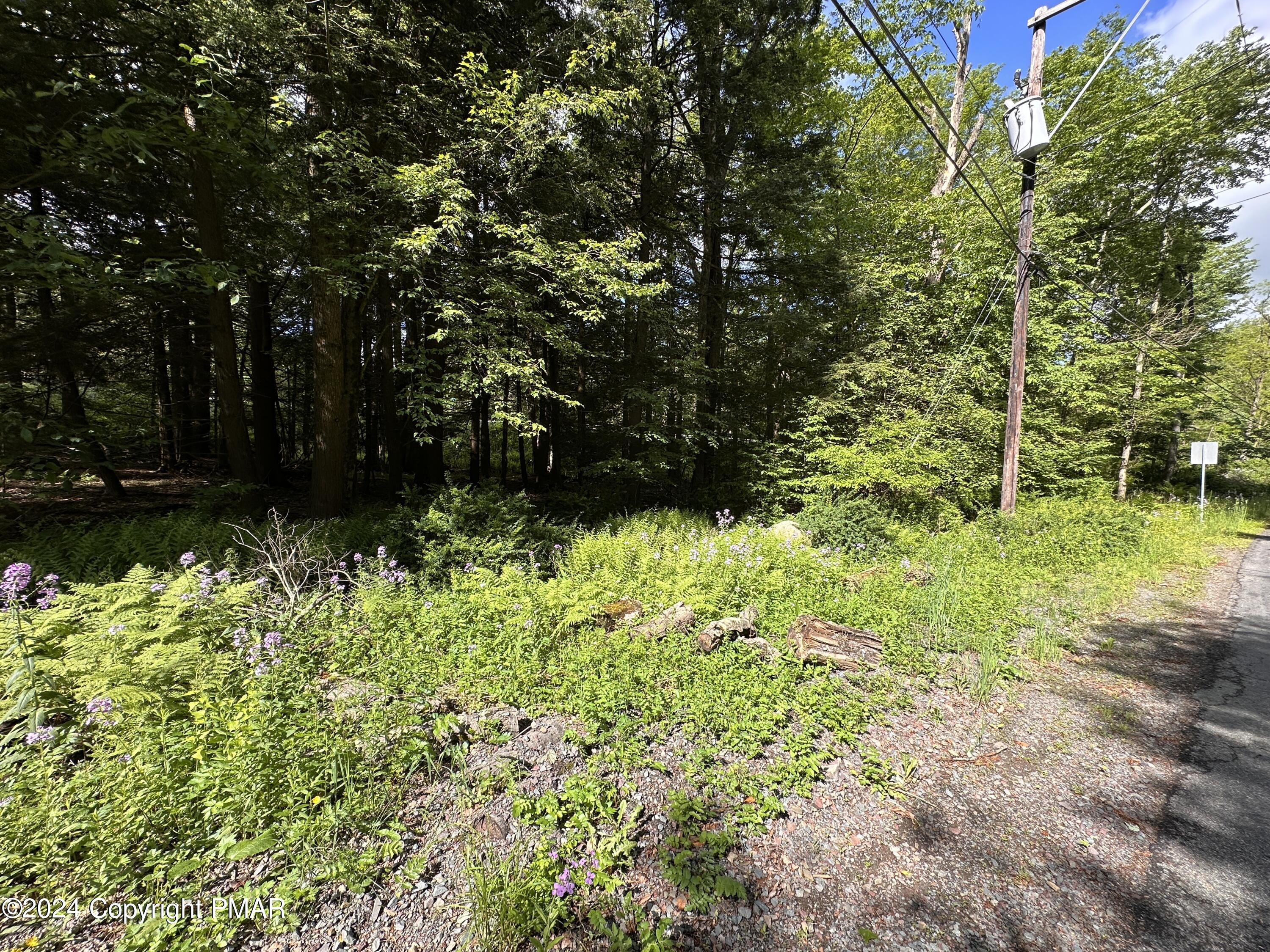 T 629 T 629, Blakeslee, Pennsylvania image 15