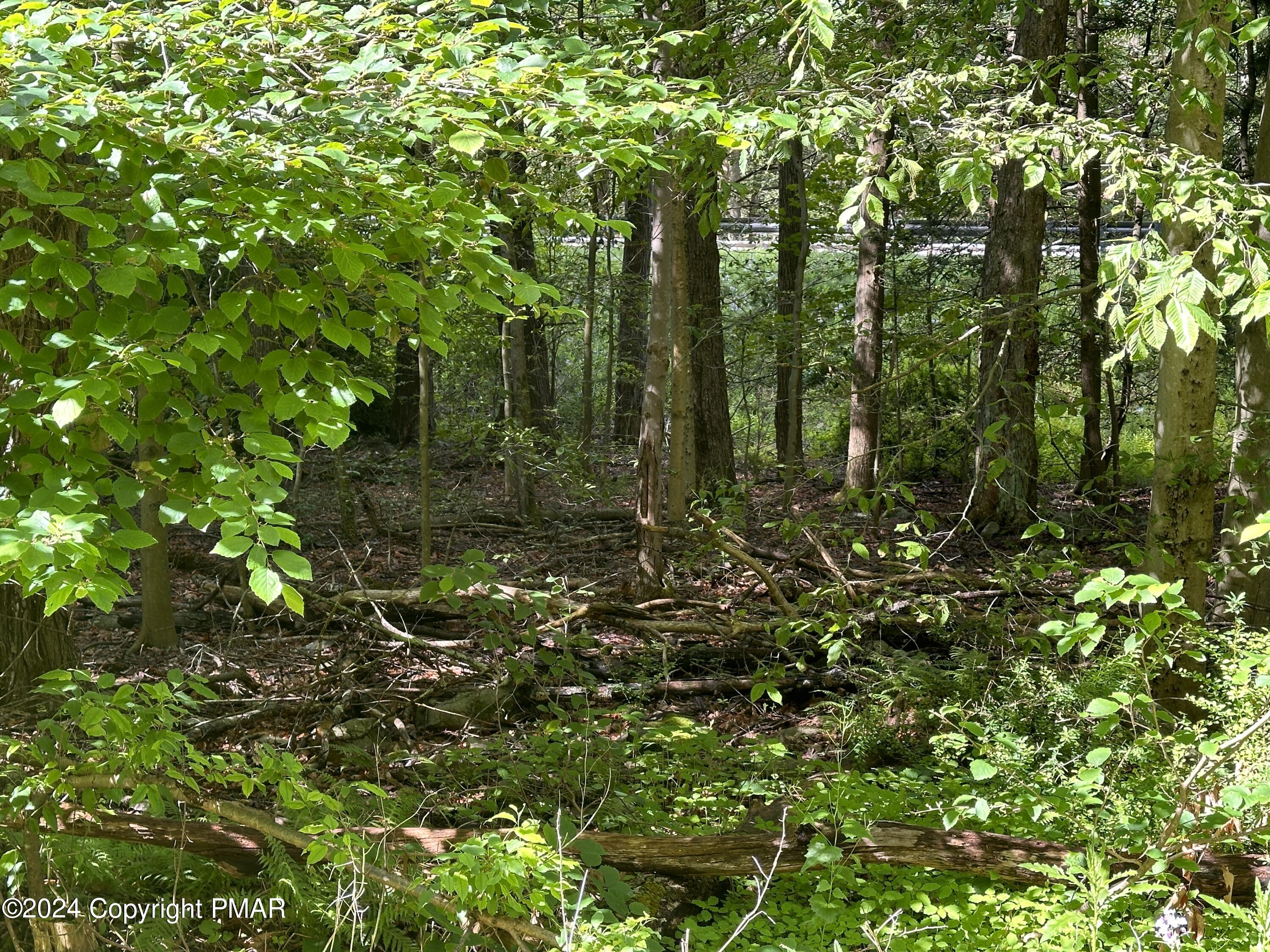 T 629 T 629, Blakeslee, Pennsylvania image 18