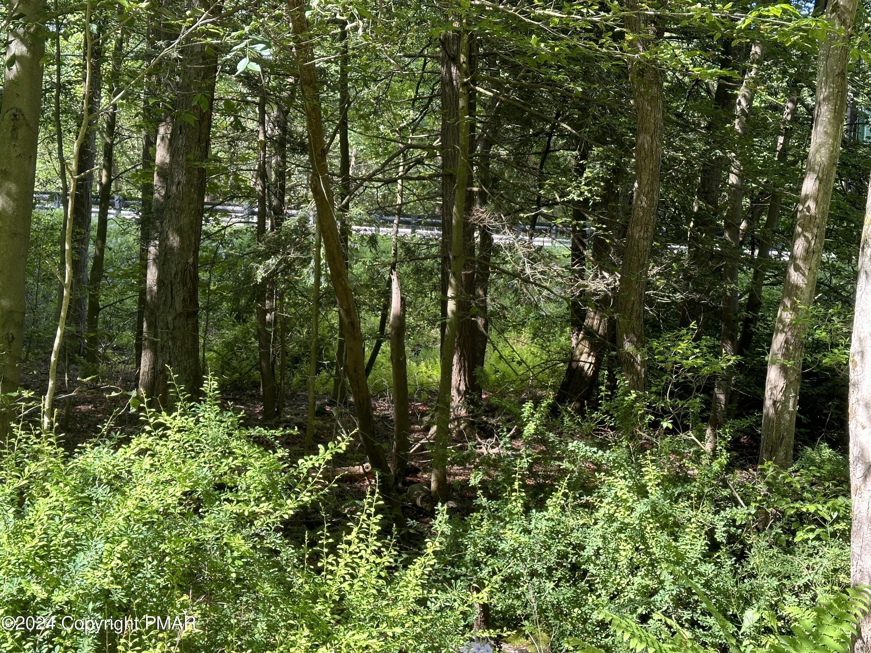 T 629 T 629, Blakeslee, Pennsylvania image 20