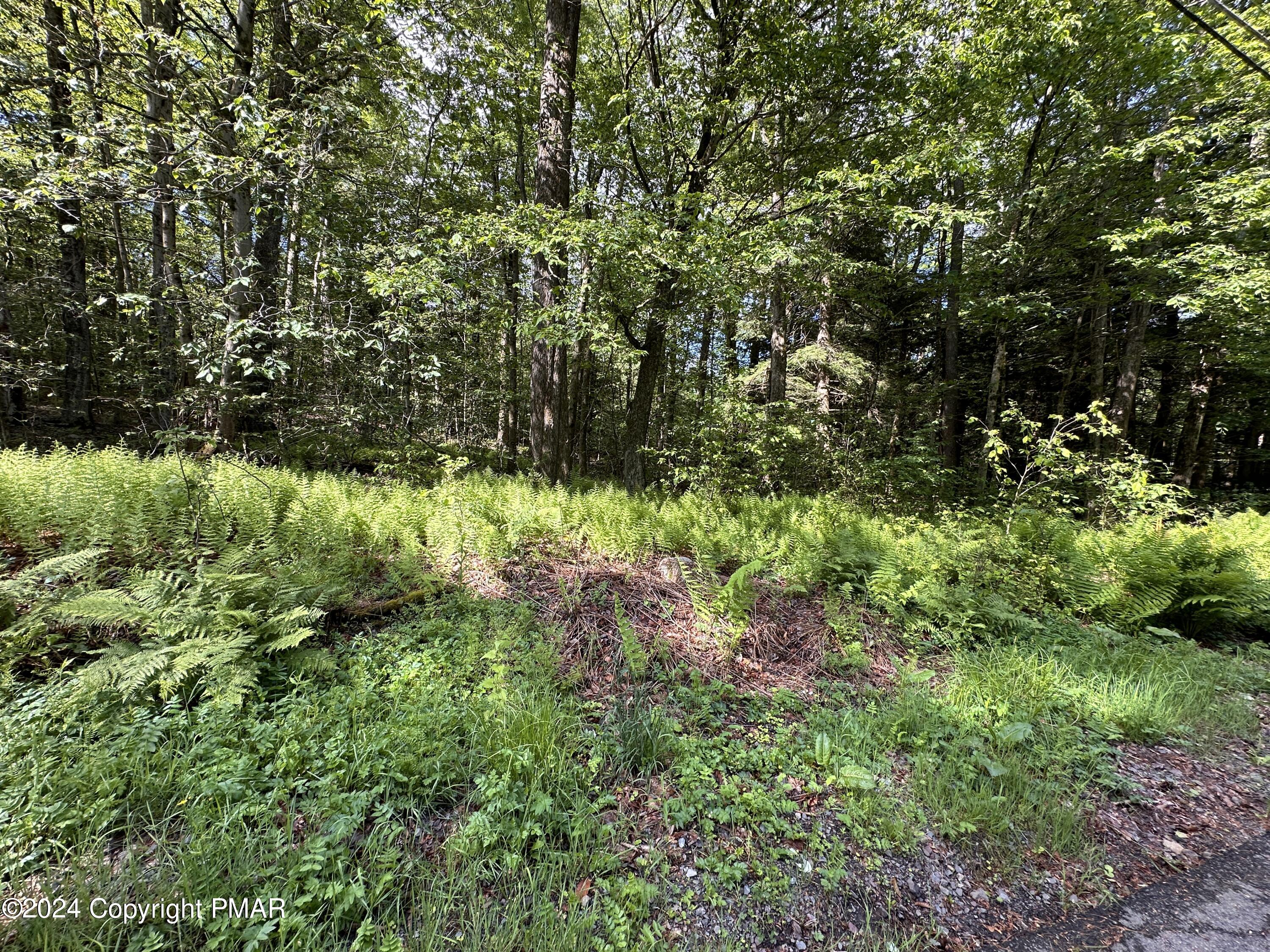 T 629 T 629, Blakeslee, Pennsylvania image 7