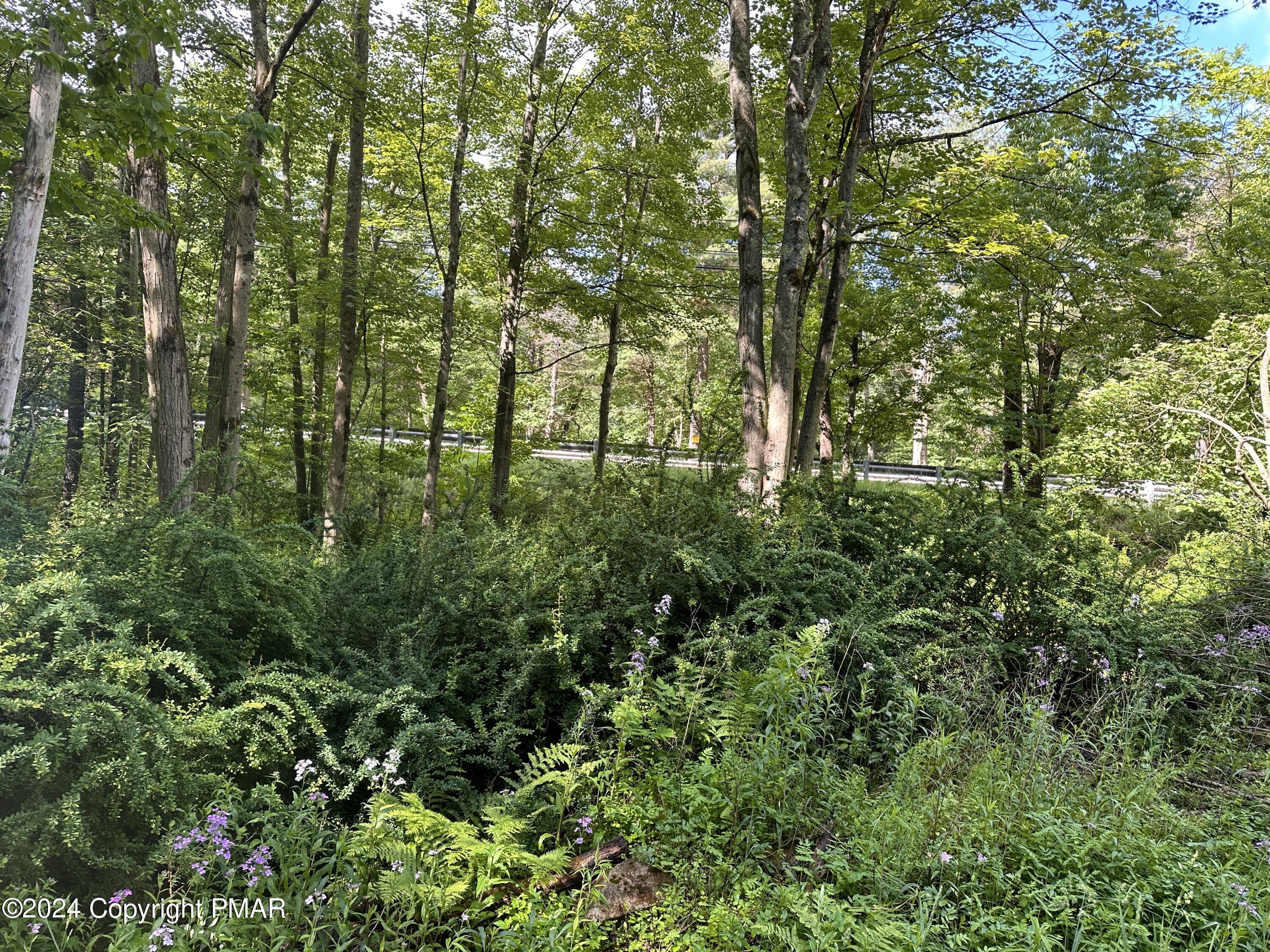 T 629 T 629, Blakeslee, Pennsylvania image 25