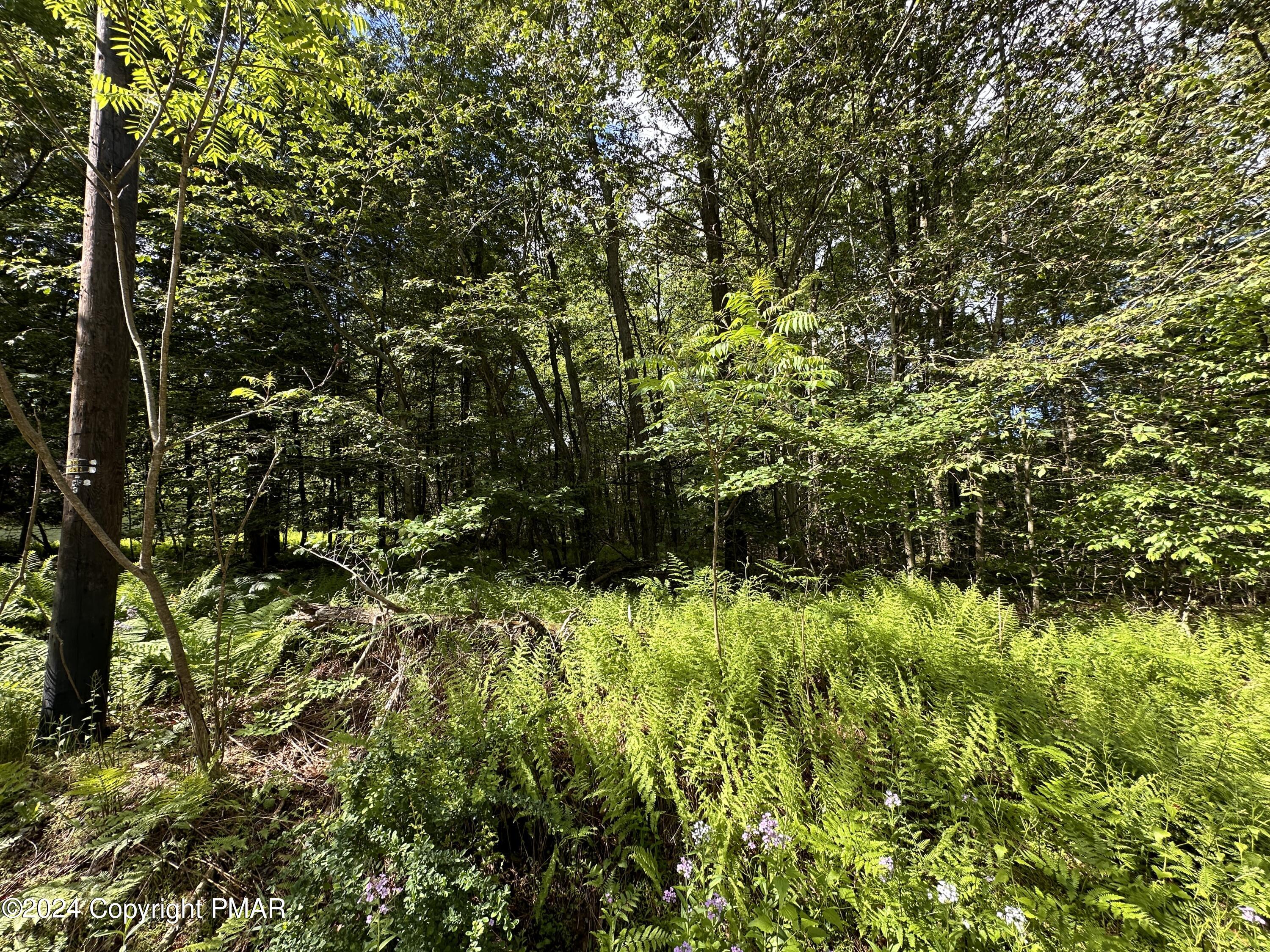 T 629 T 629, Blakeslee, Pennsylvania image 3
