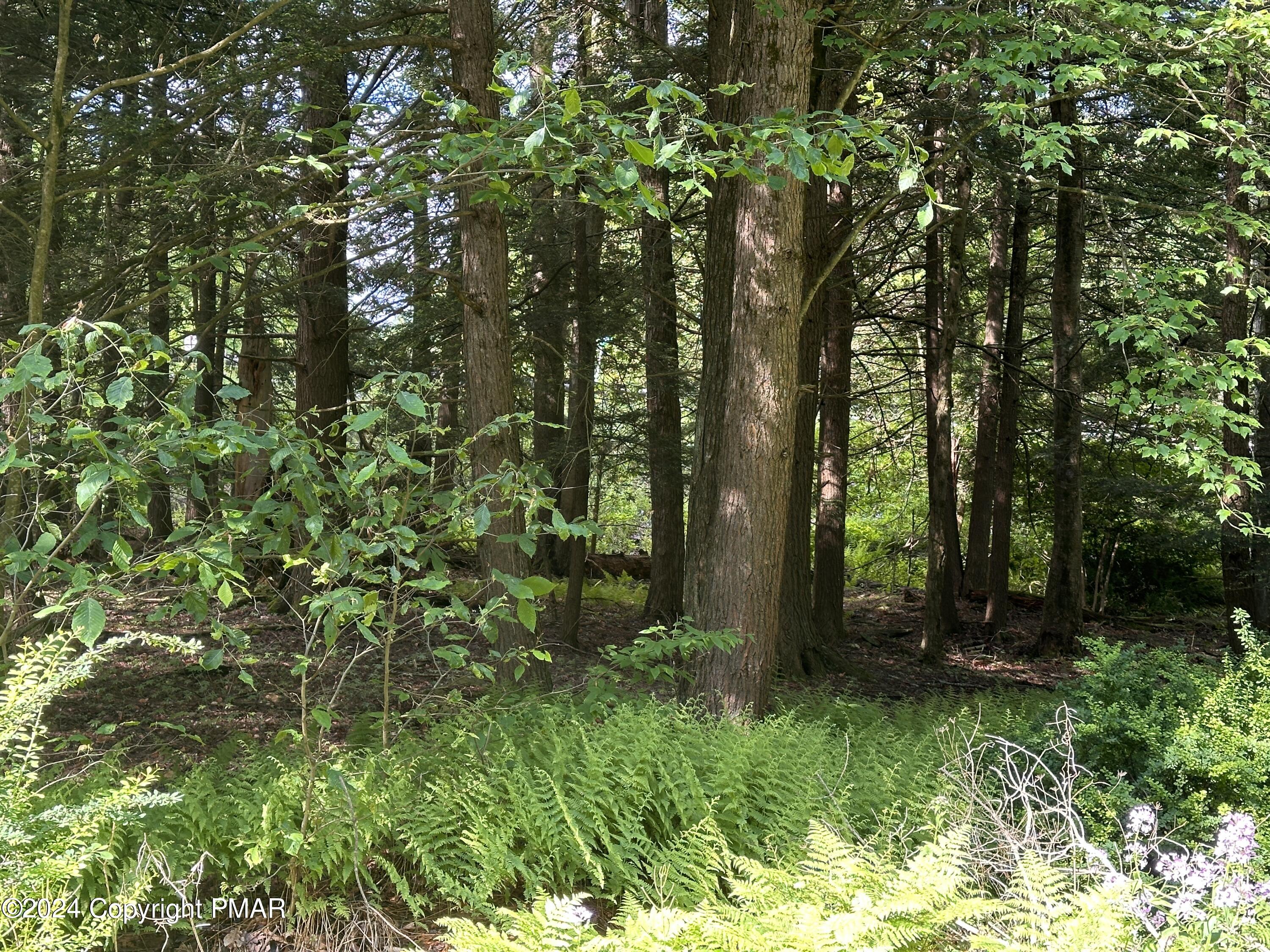 T 629 T 629, Blakeslee, Pennsylvania image 12