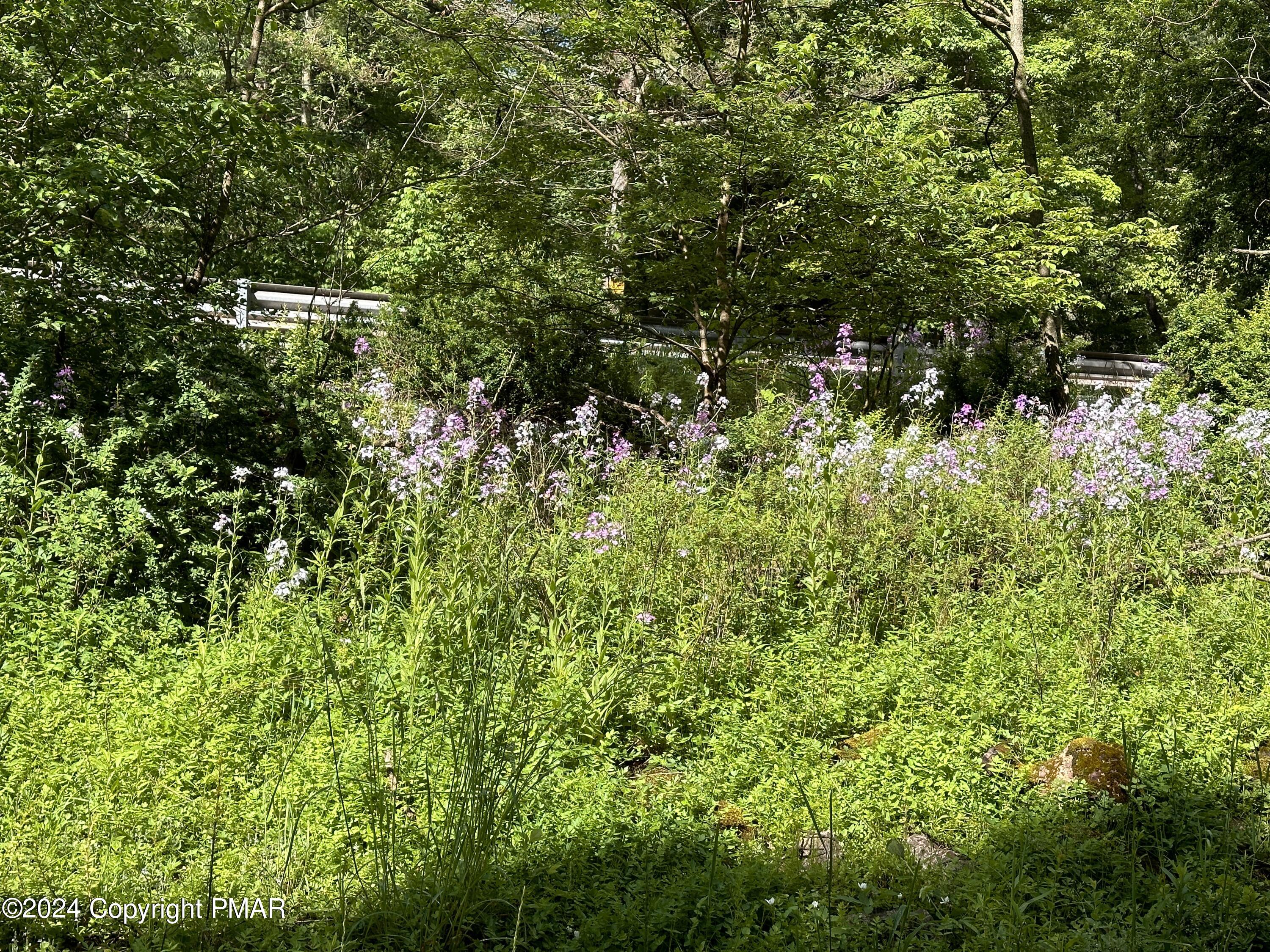 T 629 T 629, Blakeslee, Pennsylvania image 30