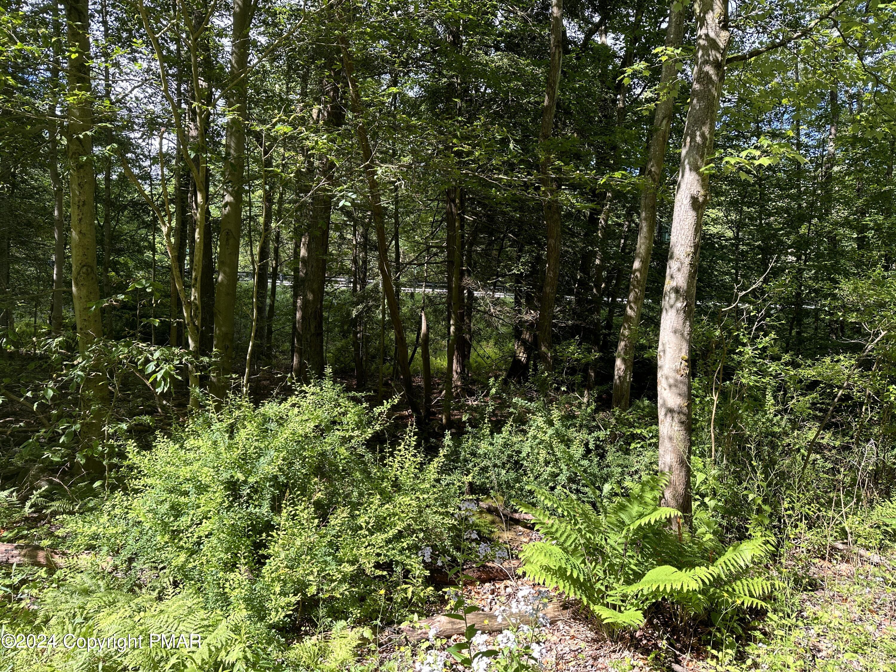 T 629 T 629, Blakeslee, Pennsylvania image 19