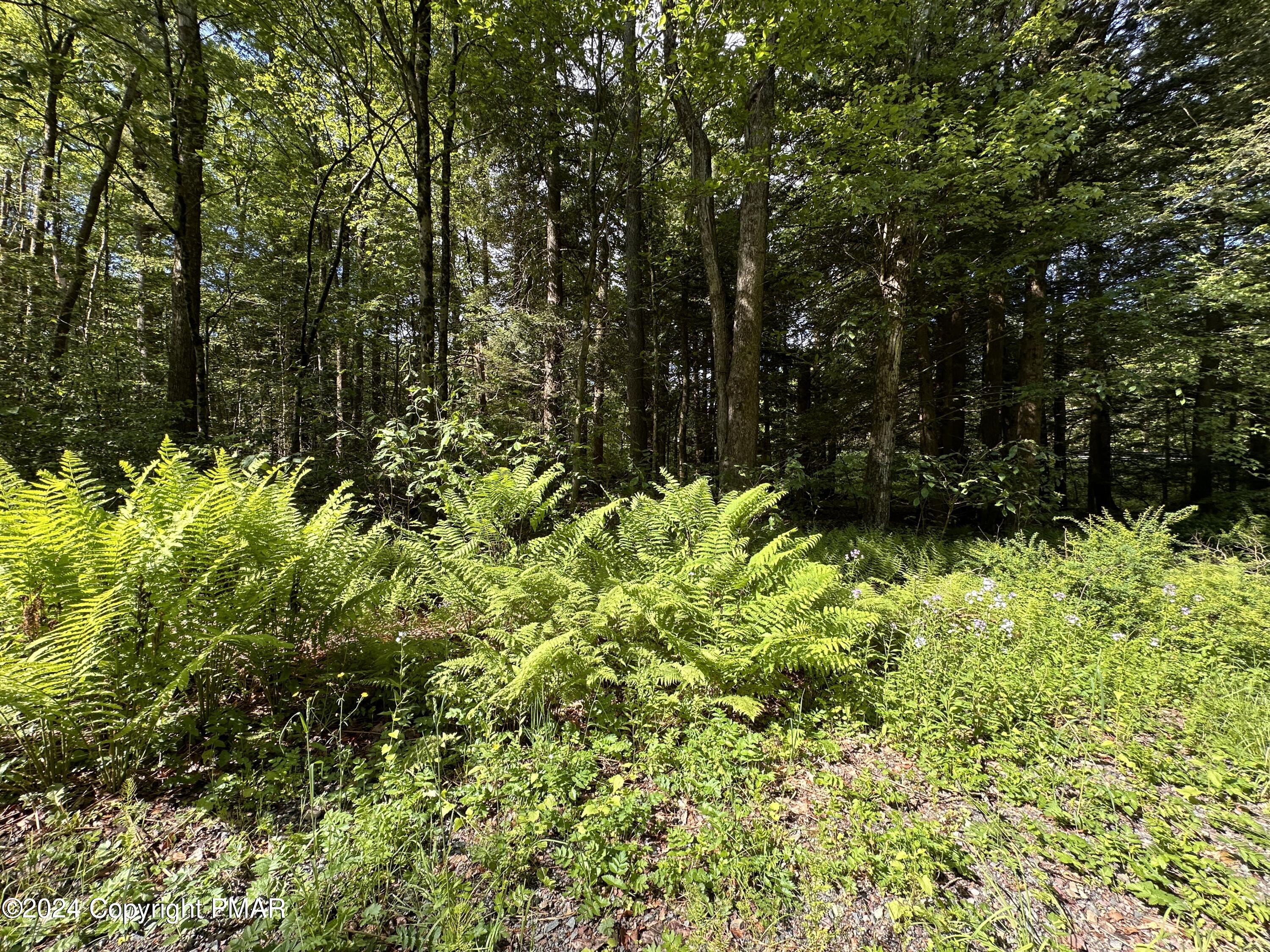 T 629 T 629, Blakeslee, Pennsylvania image 11