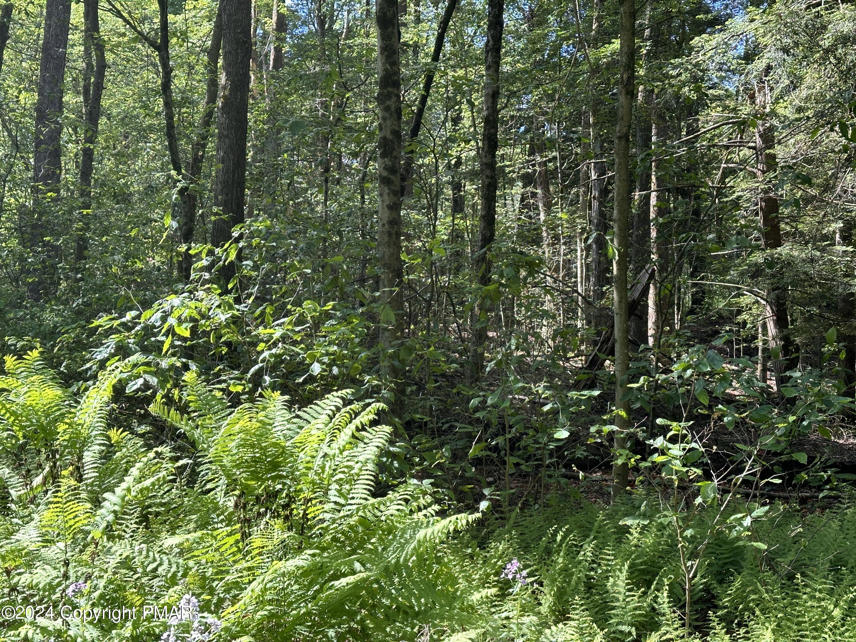 T 629 T 629, Blakeslee, Pennsylvania image 14