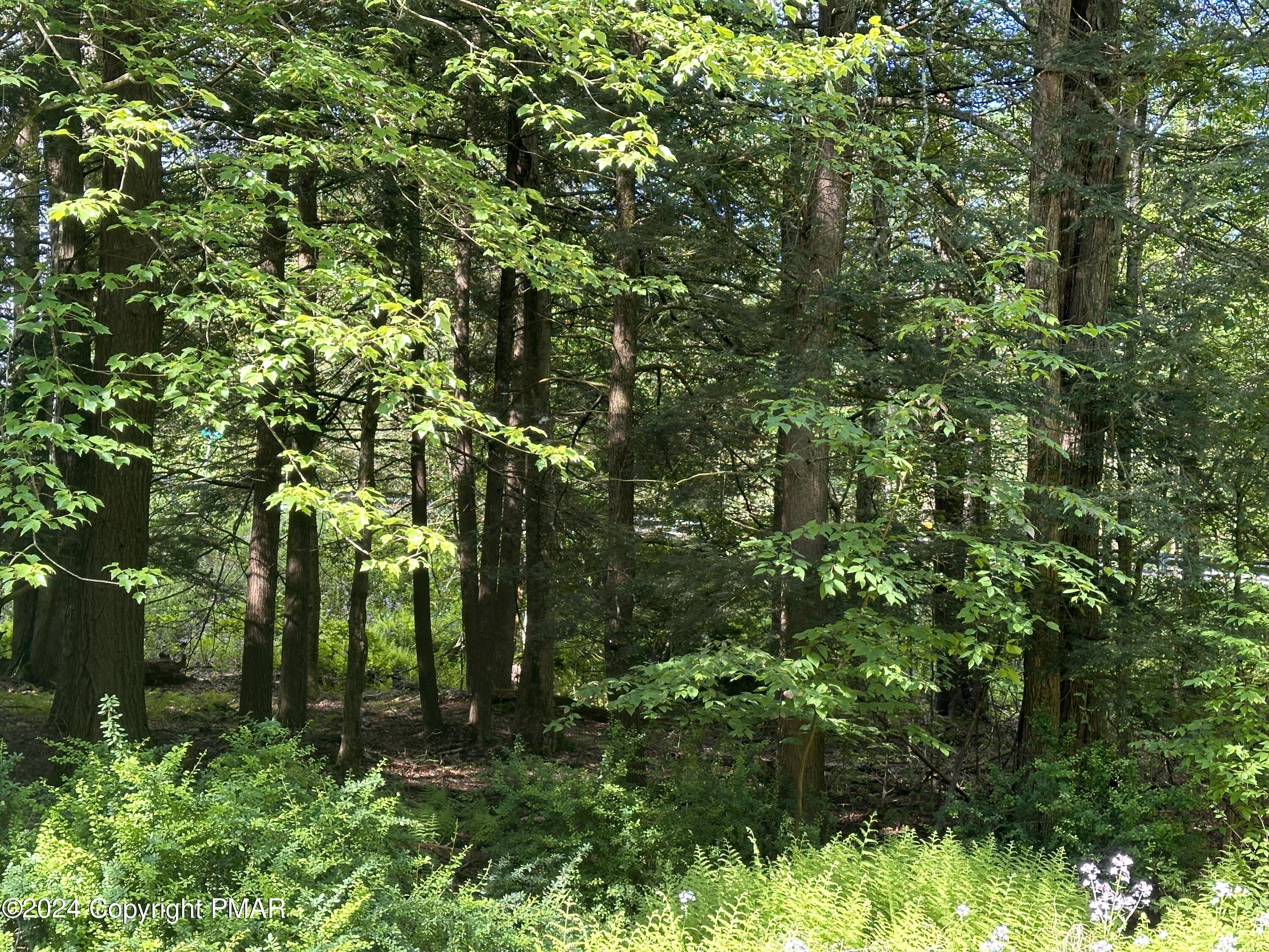 T 629 T 629, Blakeslee, Pennsylvania image 16