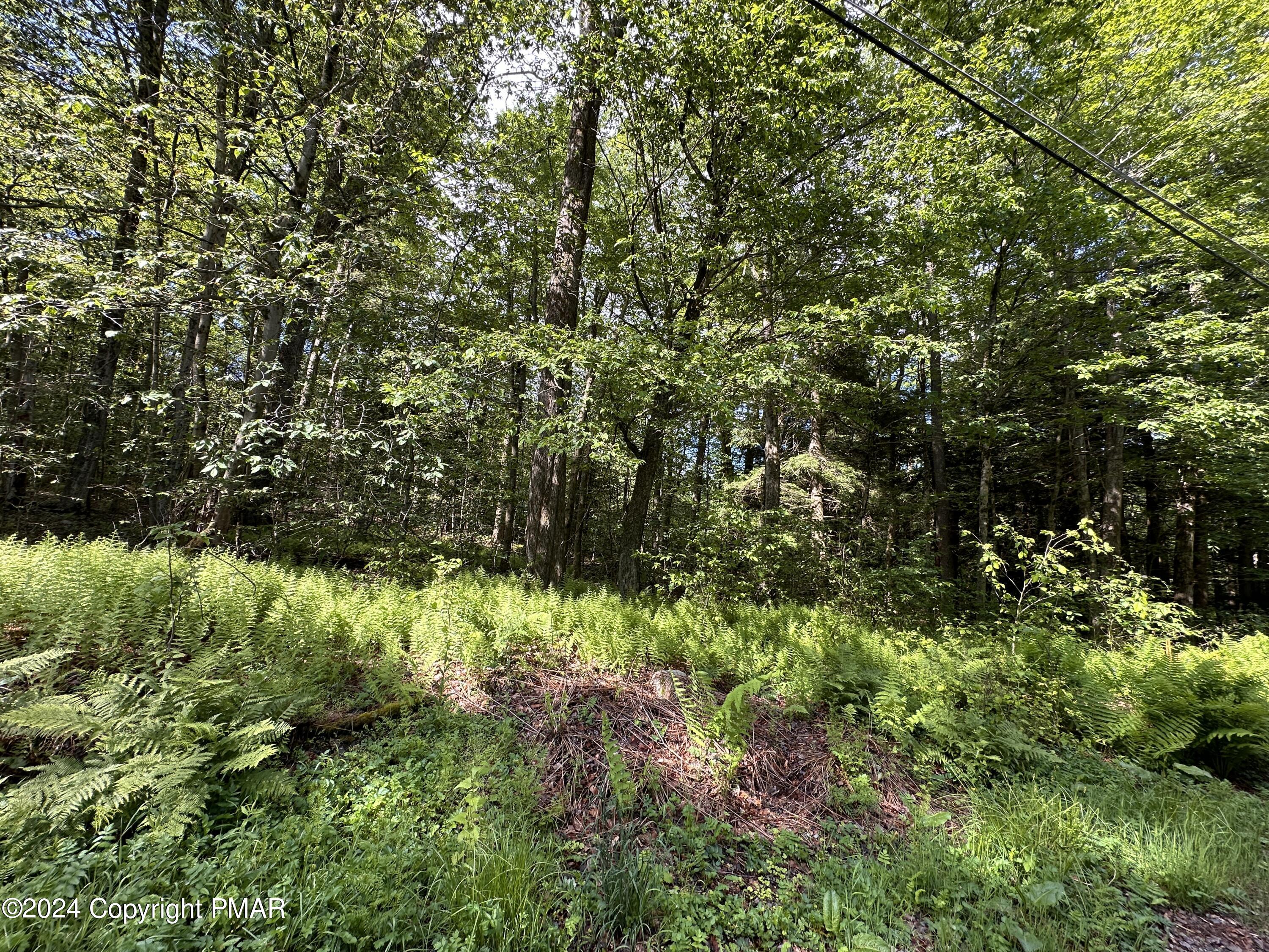 T 629 T 629, Blakeslee, Pennsylvania image 8
