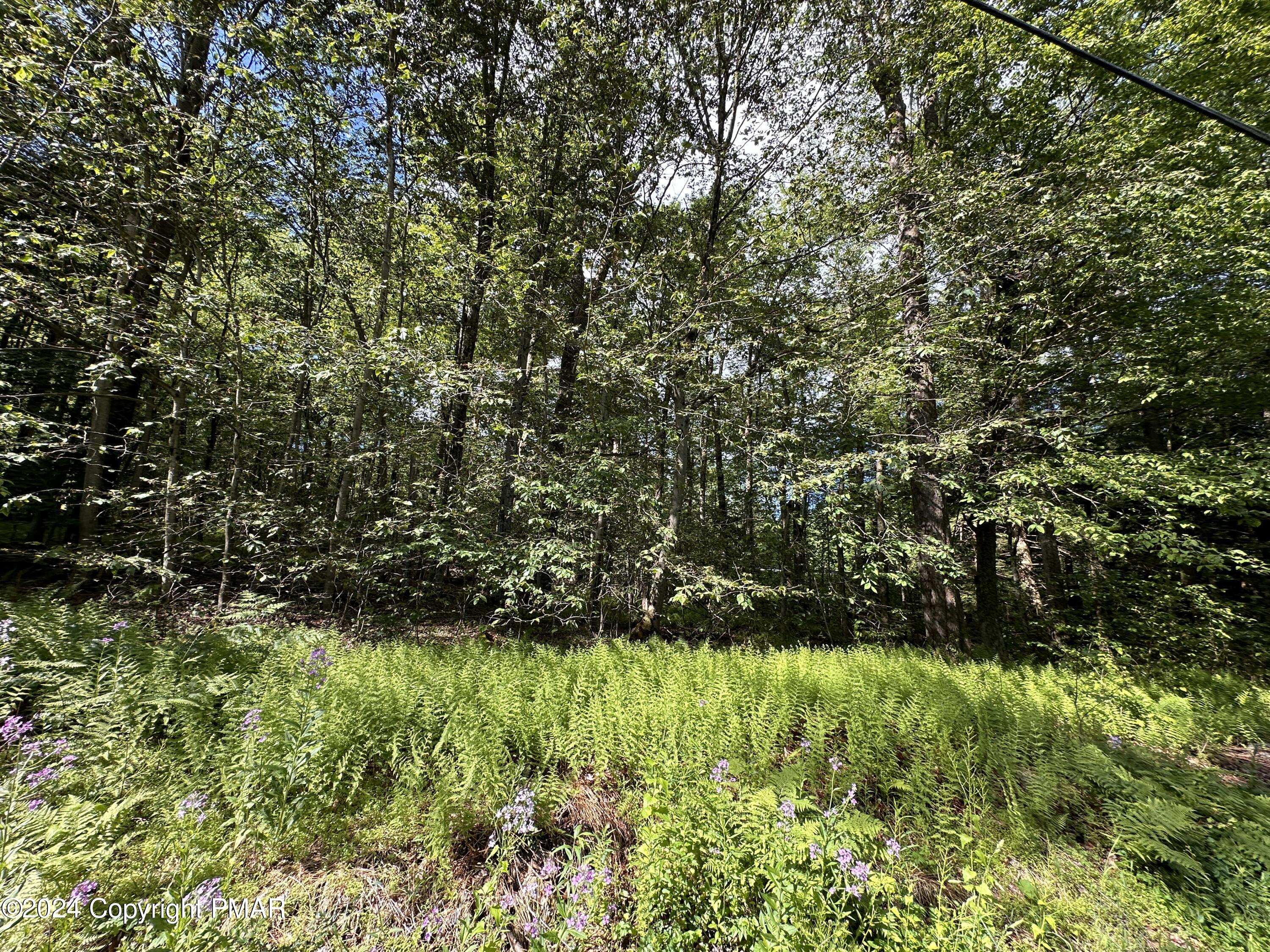 T 629 T 629, Blakeslee, Pennsylvania image 6