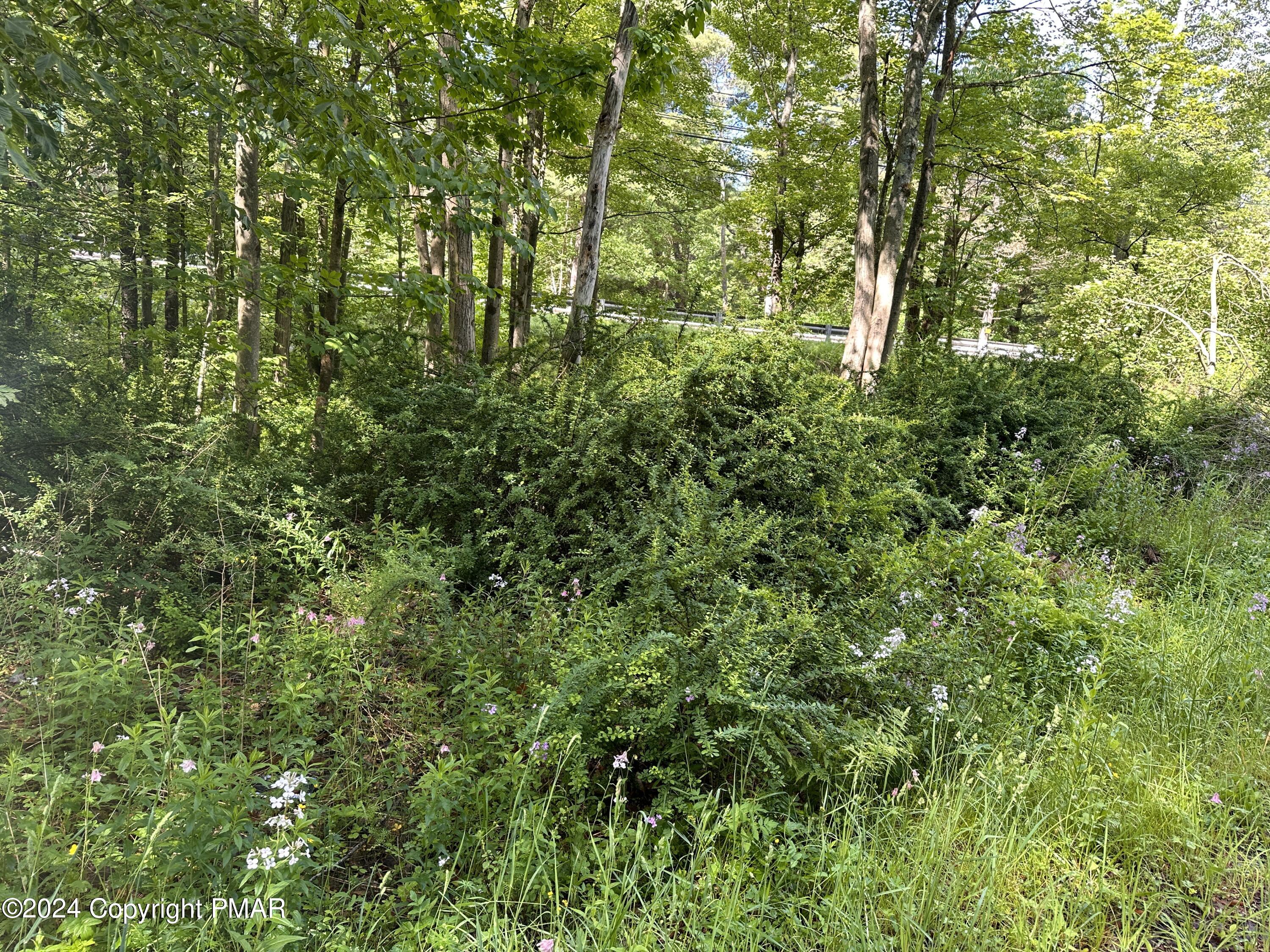 T 629 T 629, Blakeslee, Pennsylvania image 23