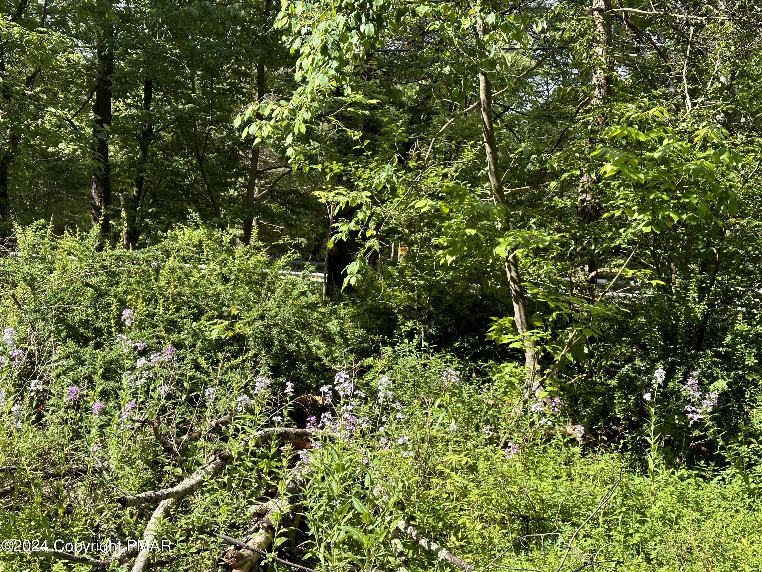 T 629 T 629, Blakeslee, Pennsylvania image 31