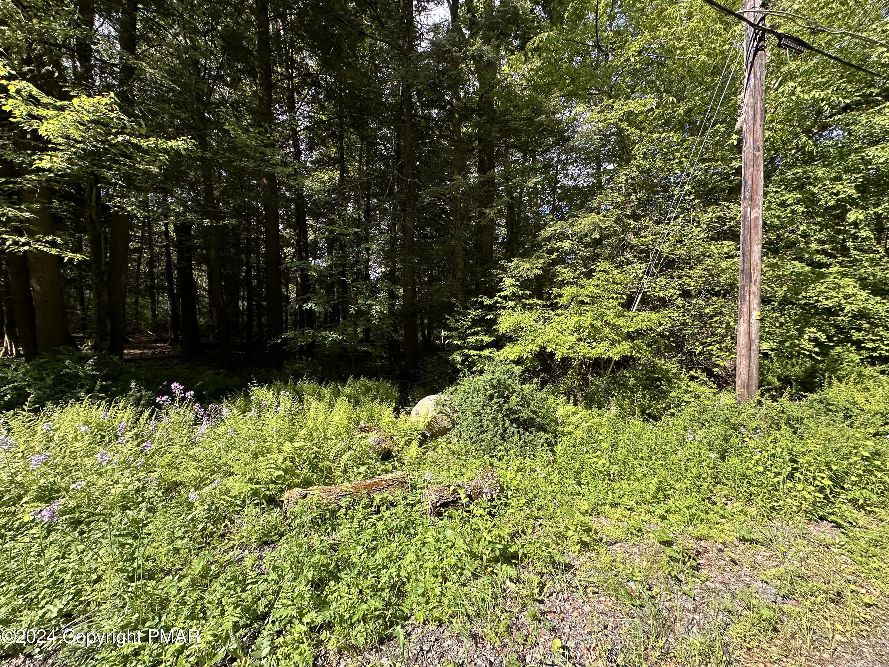 T 629 T 629, Blakeslee, Pennsylvania image 17