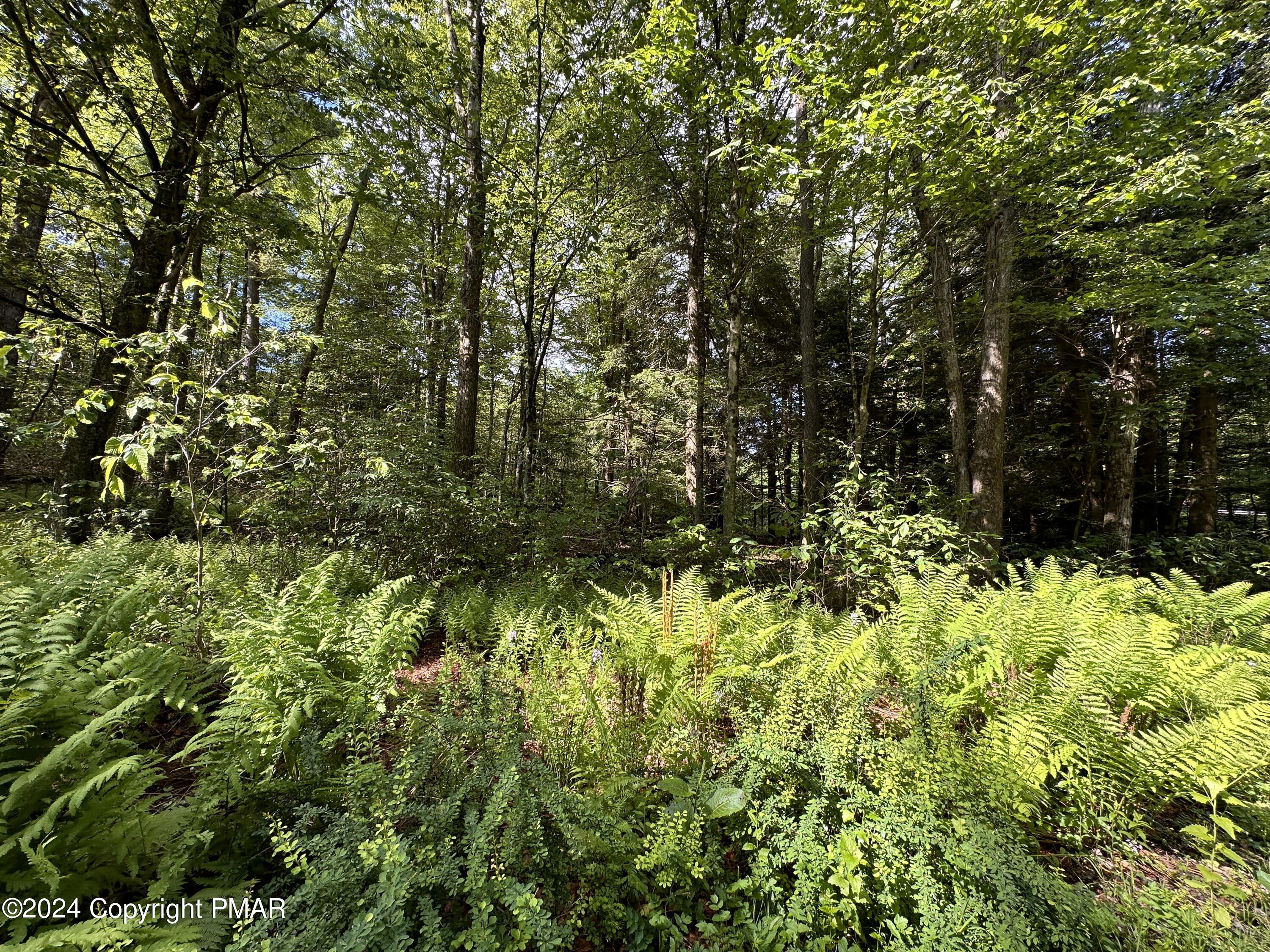 T 629 T 629, Blakeslee, Pennsylvania image 10