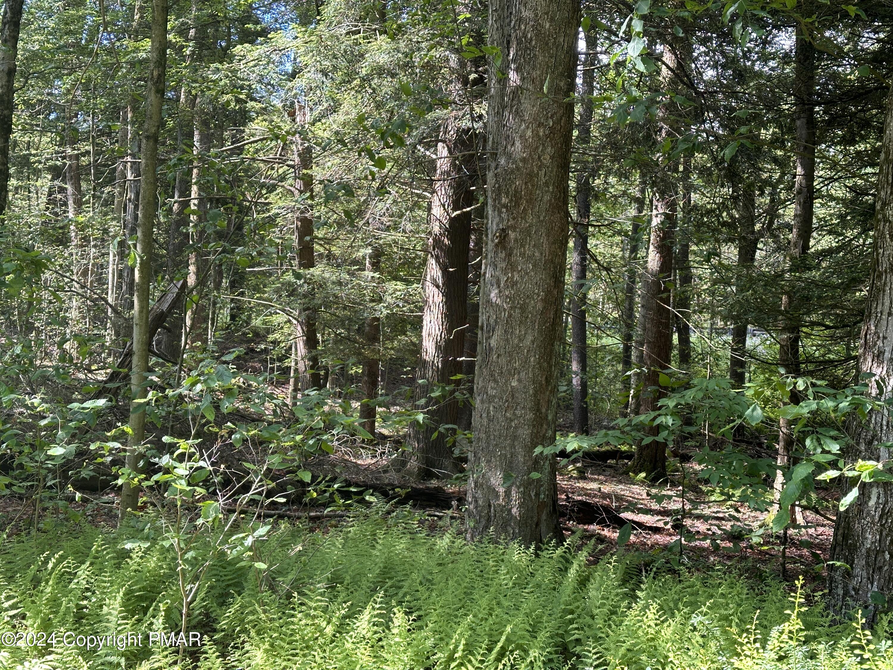 T 629 T 629, Blakeslee, Pennsylvania image 13