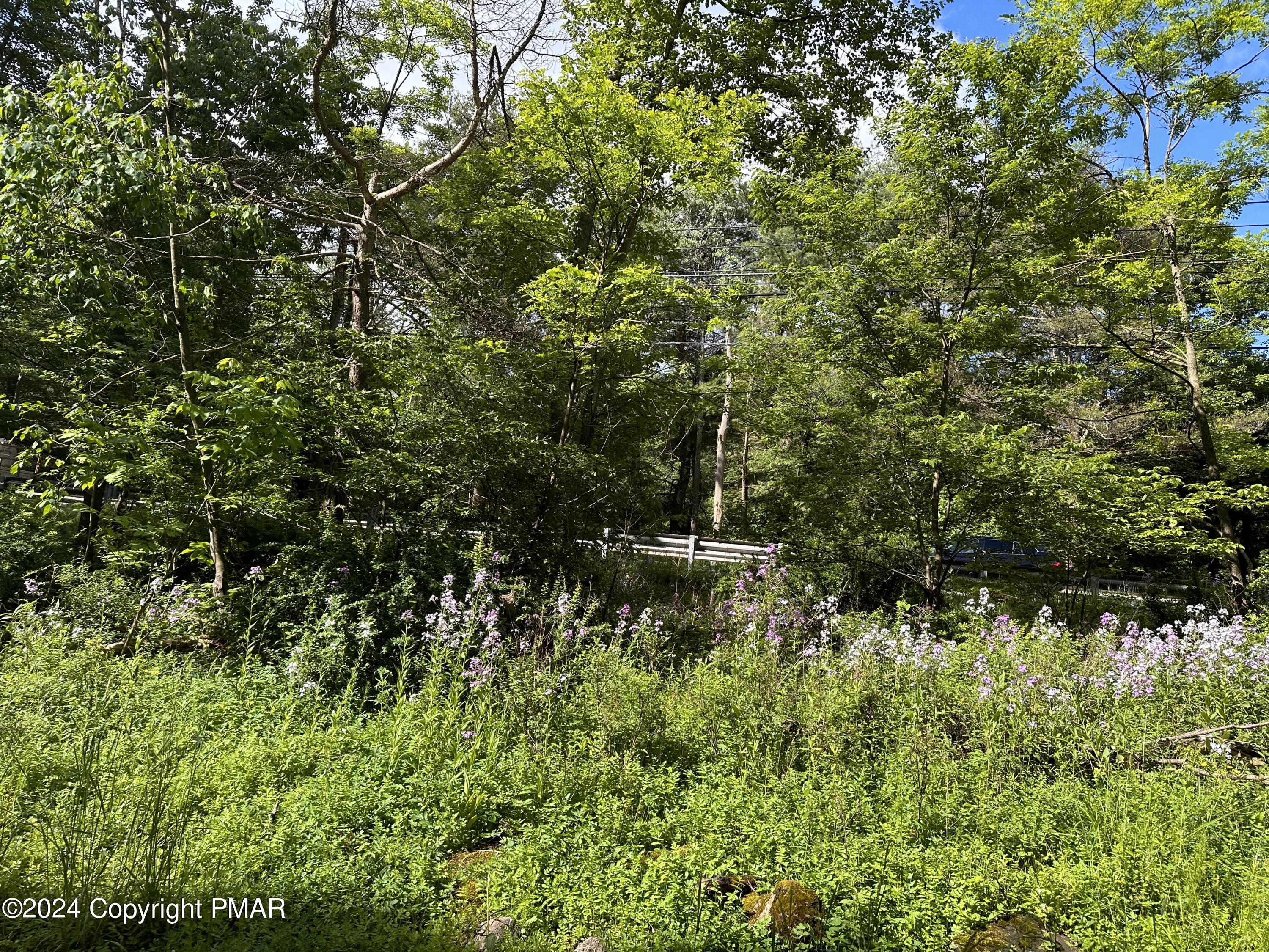 T 629 T 629, Blakeslee, Pennsylvania image 34