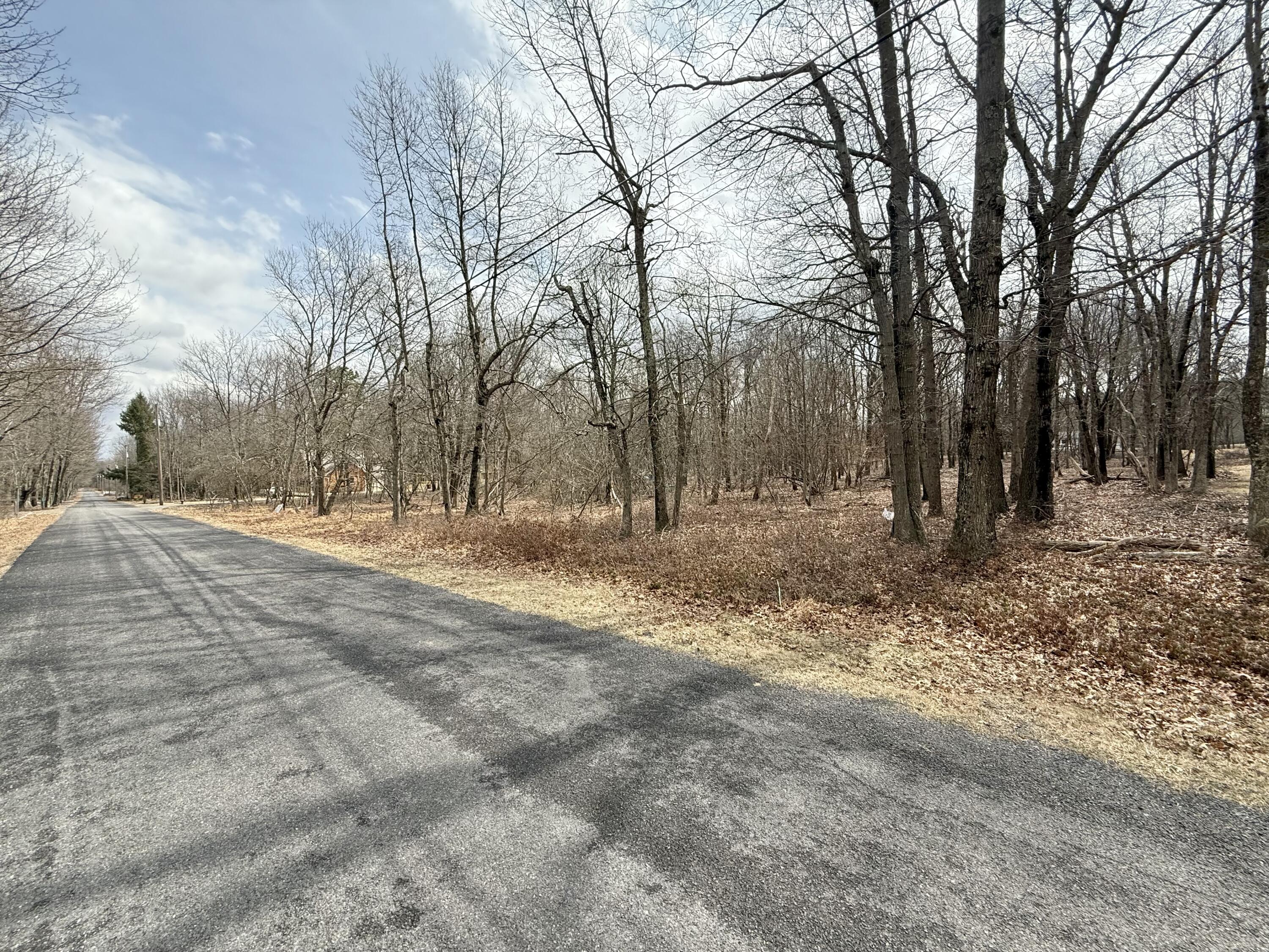 Ev1234 Chapman Circle, Albrightsville, Pennsylvania image 2
