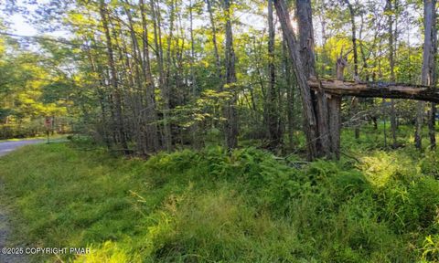 260 Pontiac Path Pocono Lake PA 18347