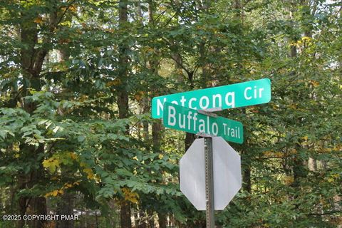 Buffalo Trl #8 Pocono Lake PA 18347