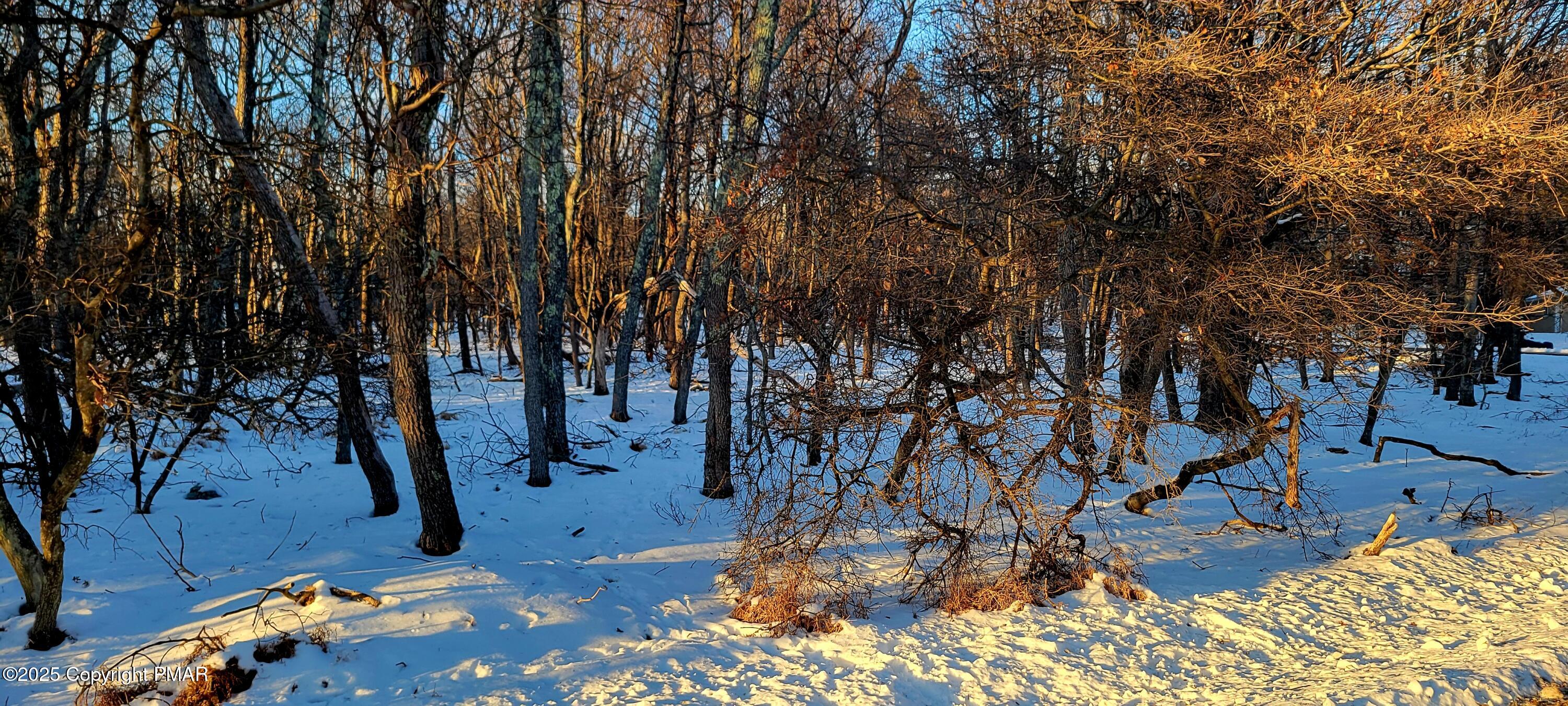 713 Chippewa Tr Trail, Albrightsville, Pennsylvania image 3