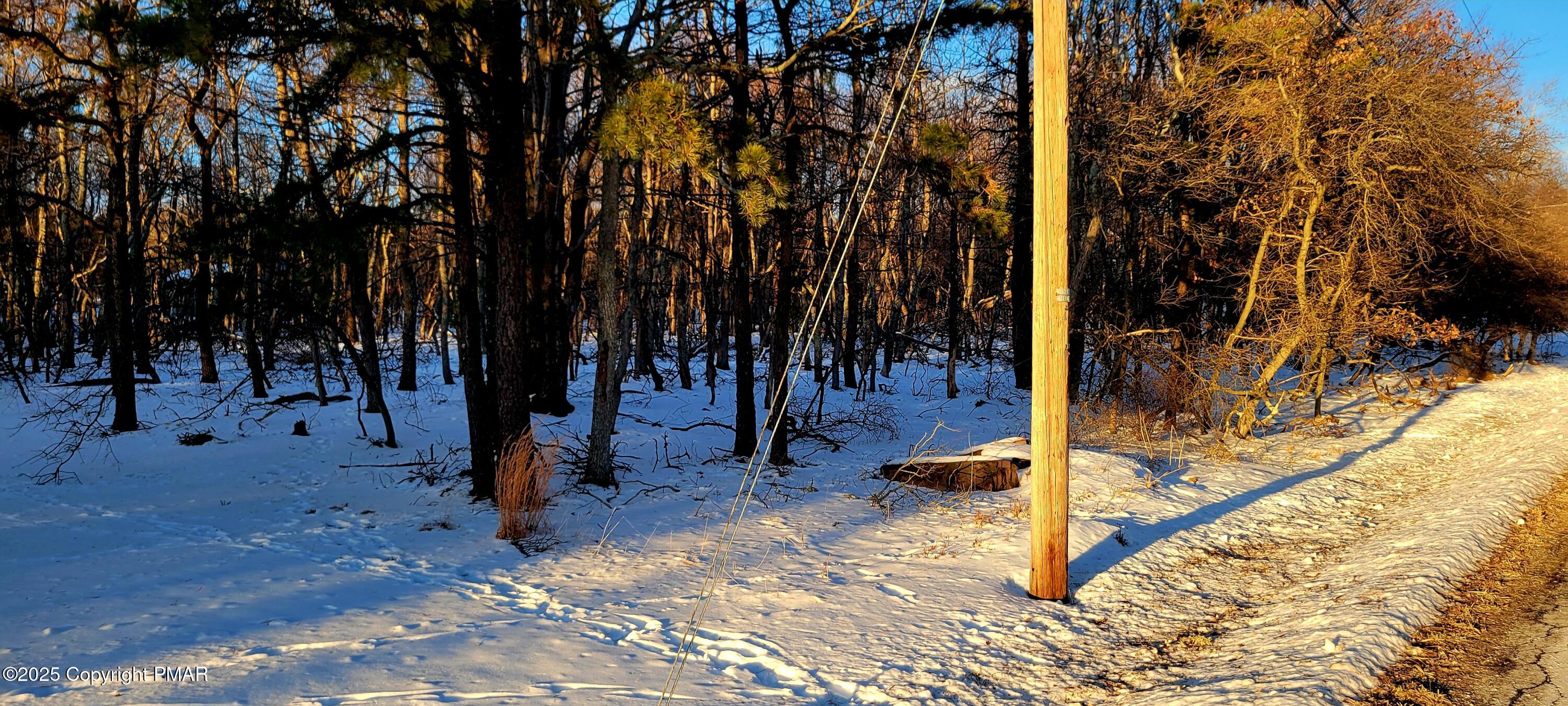 713 Chippewa Tr Trail, Albrightsville, Pennsylvania image 4