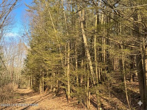 Vacant Land For Sale - 156 Merry Hill Road<br/> Bartonsville, PA 18321