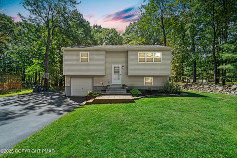 119 Alpine Lake Road Henryville PA 18332