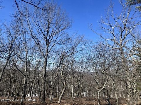 Vacant Land For Sale - LOT 12 Sunrise Loop<br/> Henryville, PA 18332