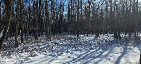 Vacant Land For Sale - EP2106 Old Stage Road<br/> Albrightsville, PA 18210