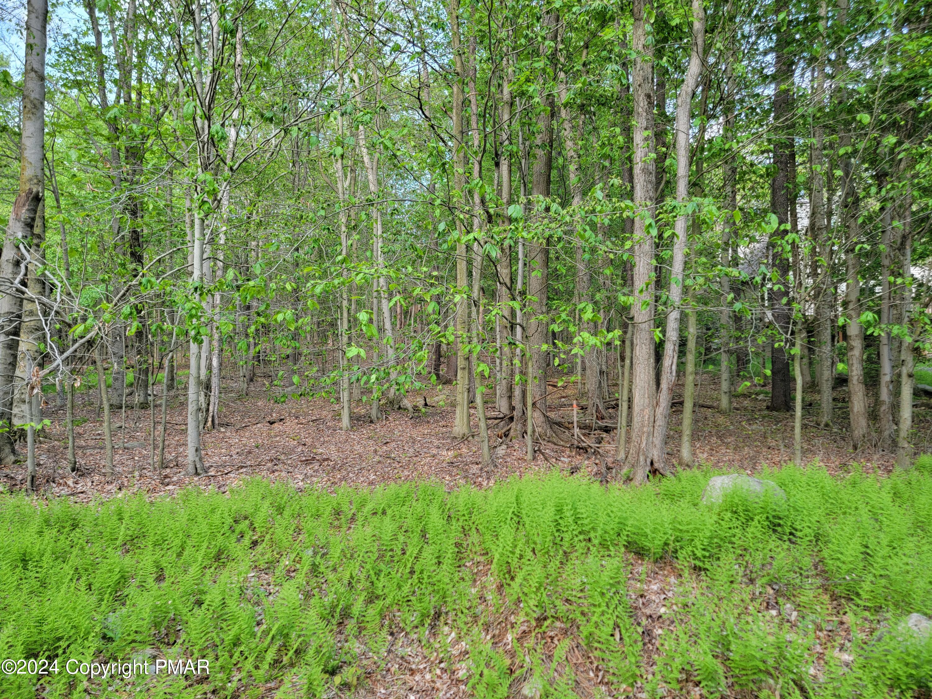 #1873 N Mt Glen Drive