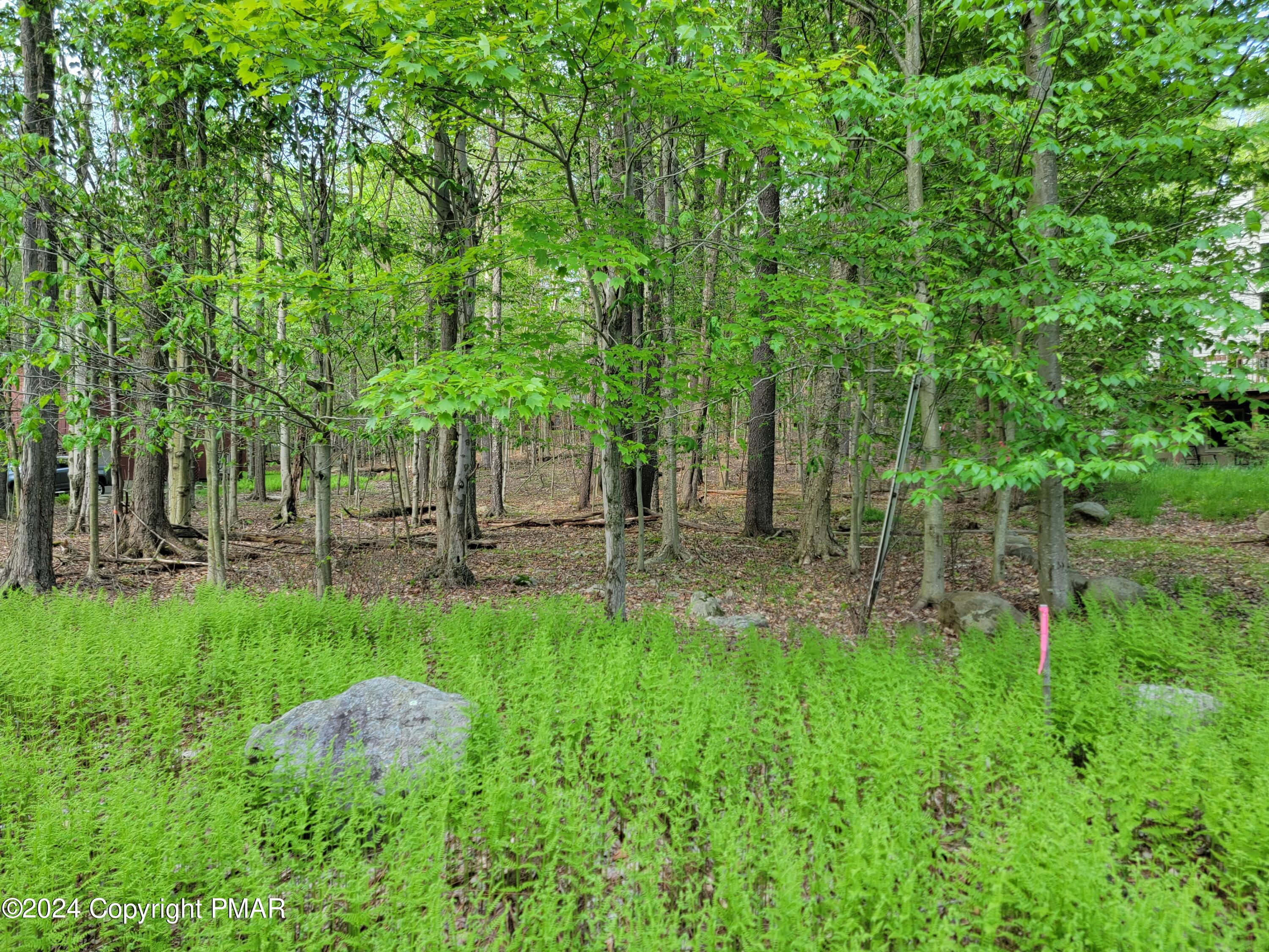 #1873 N Mt Glen Drive