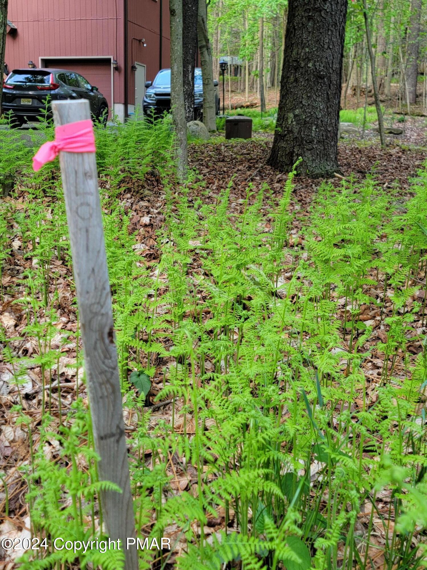 #1873 N Mt Glen Drive